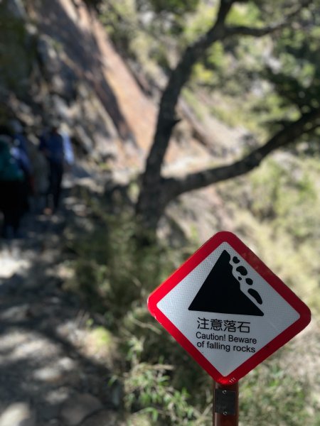 【健人HIKERS】兩天一夜玉山主峰、玉山西峰2769132