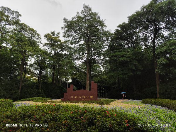 大安森林公園、高記上海料理、北師美術館【走路趣尋寶，全臺齊步走】2526034