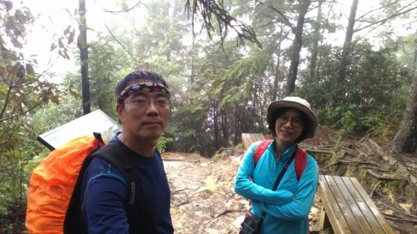 觀霧森林巨木群+大鹿林道+榛山214521