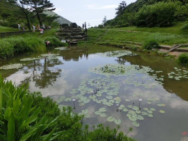 清天宮．面天坪．大屯坪．二子坪94396