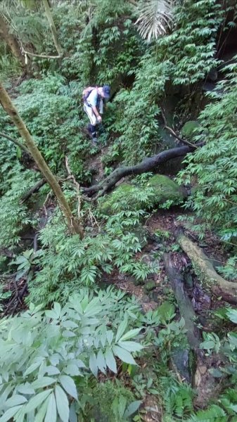 蛇來運轉之蛇年爬蛇山  蛇子形古道-三爪子坑山-蛇子崙山O型2784025