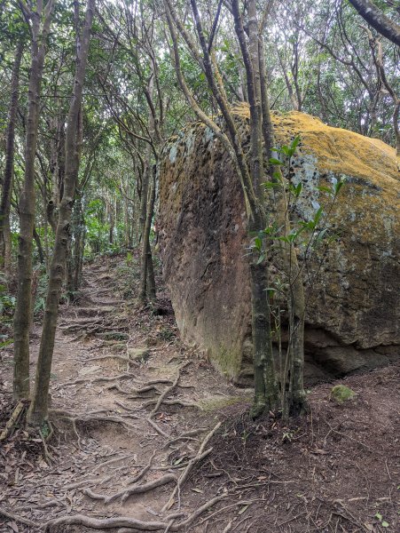 剪刀石山連走大崙頭山2396039