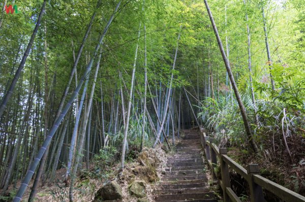 WL 愛旅行【石壁山】499639