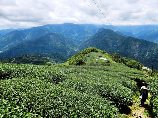 【中級山縱走】雲嘉八連峰（後棟仔山，大尖山，二尖山，馬鞍山，梨子腳山，太平山，大巃頂山及其西北峰）2821119