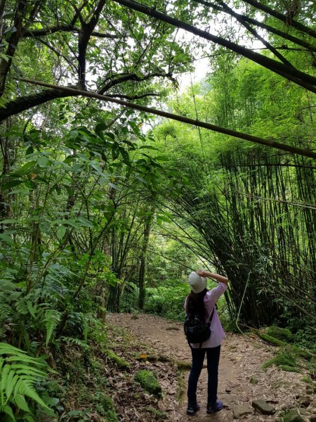 2019.05.16瑞芳三貂嶺瀑布群587162