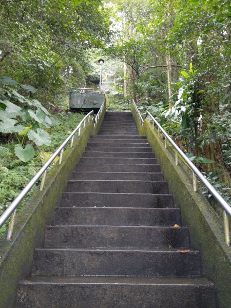 臺北大縱走-飛龍步道(政大)至麟光站784459