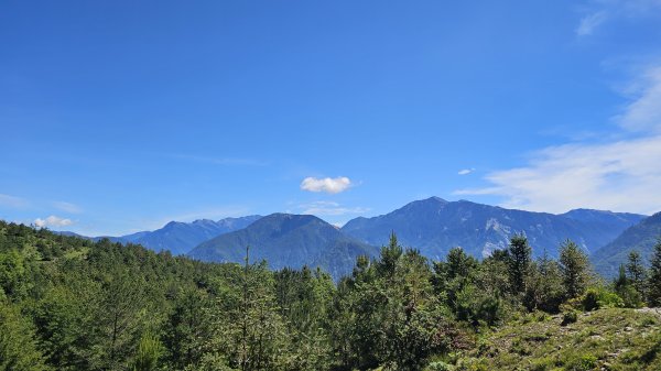 【被遺忘的南橫仙境】中之關、天池步道O繞10K2798191