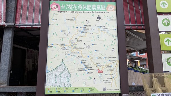 115.05.23枕頭山-枕頭山西峰-薑母島之旅3061259