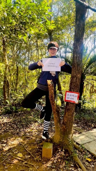 🌈11/8（六）桃園神社+虎頭山風景區尋找10連峰✨FB：熊熊趴爬走🌈2932462