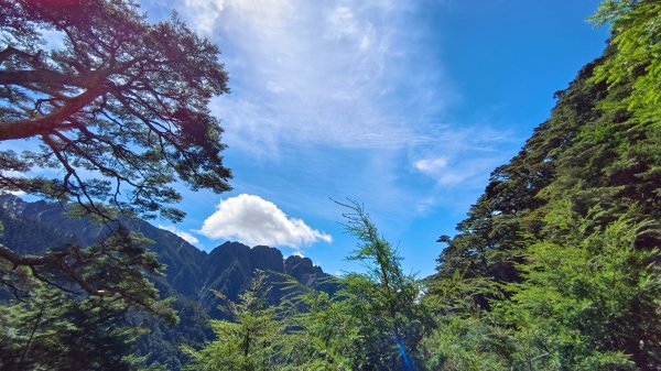 玉山北/西峰（排雲雲海/夕陽/下雨）1496061