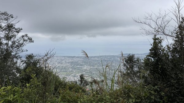 20260204小百岳初音山2994910