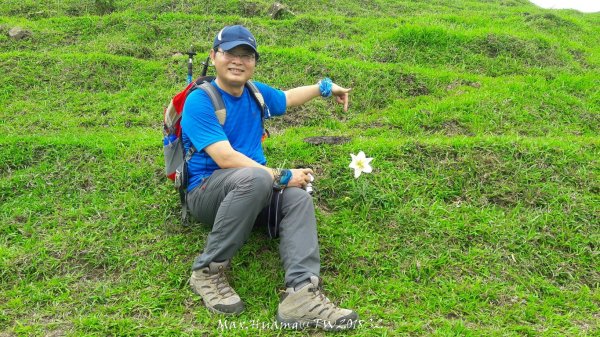 《新北》草原牛群｜貢寮桃源谷步道(內寮線)201805172887801