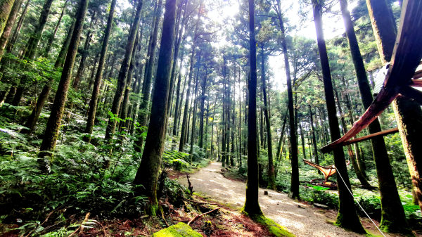 東眼山，親子峰，自導式步道，尾寮崎古道，小角仔古道，街口溪生態水岸步道