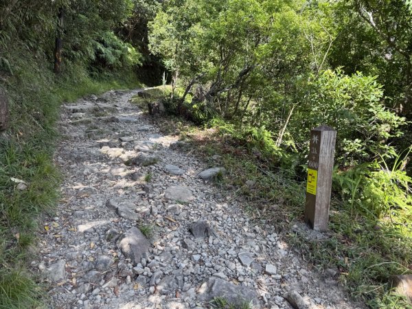 2025/09/15 跑馬古道 鵲子山3041547