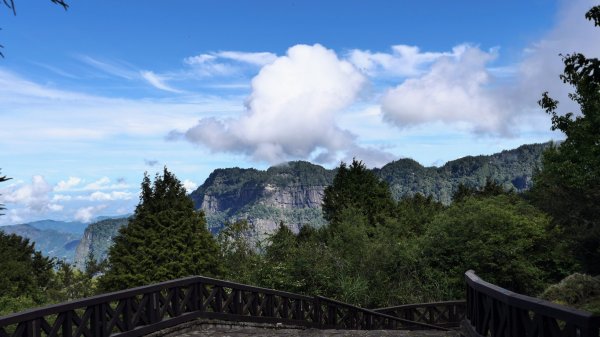 阿里山森遊區-祝山,對高岳步道2536991