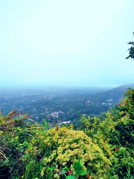 阿拔泉山/觀音石山/紅楠坑山/獨立山 環狀2963270