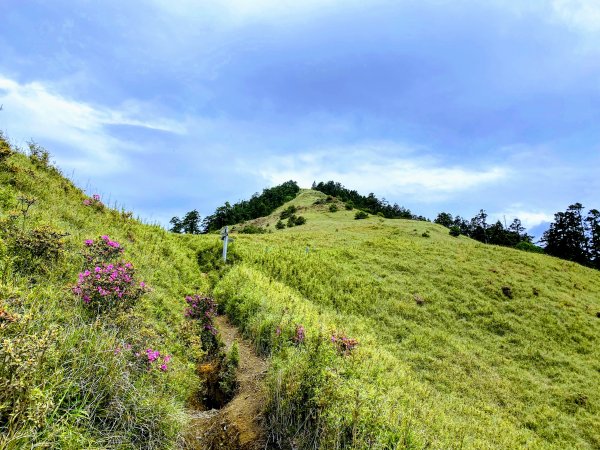 2020/06/11志嘉陽大山993186