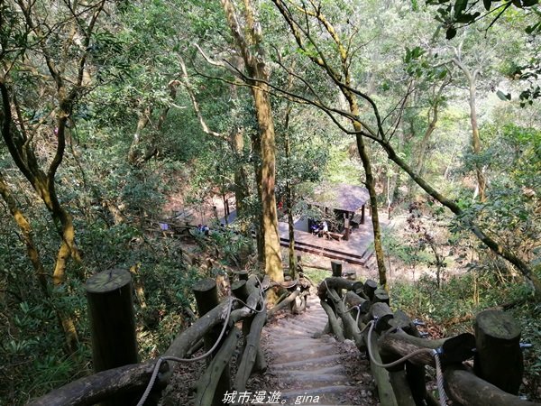 【台中。北屯】台灣百大必訪步道。 大坑四號步道1338788