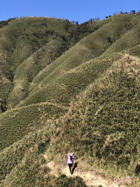 抹茶山聖母山莊  宜蘭2339938