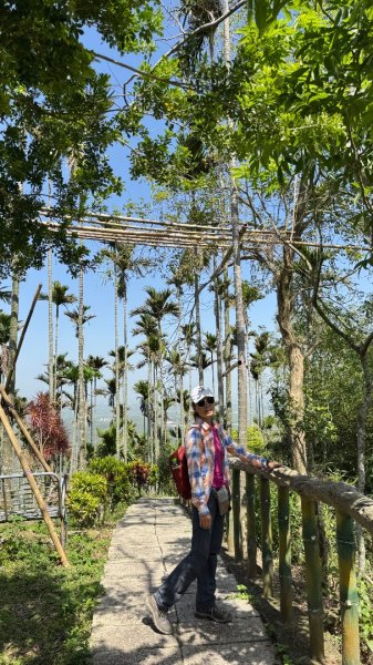 嘉義-圳北古道2763670