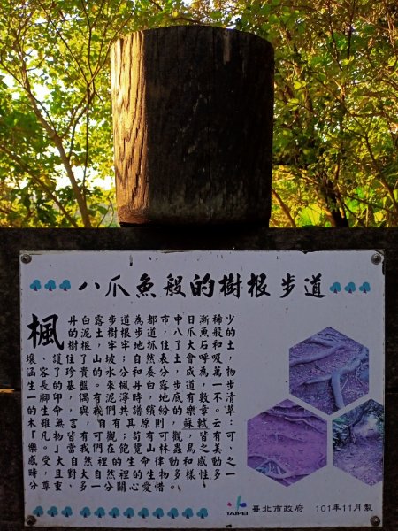 【臺北大縱走1】【益節逆齡行動】忠義山1171592