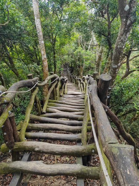 大坑1.5.2號登山步道1879772