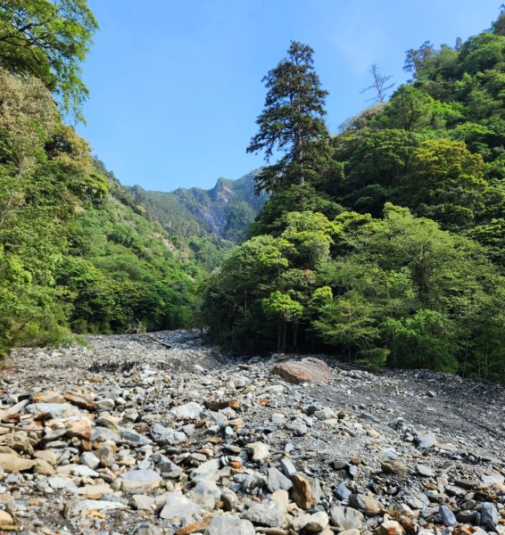 【百岳】雲海的浪漫，羊頭山單攻3045333