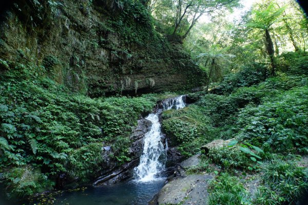 新竹 五峰 鵝公髻山2916856