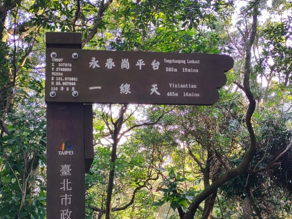 ［象山~深坑8連峰］  （象山～南港山南峰～拇指山～倒照湖山～大坑山～西峰~三腳木山~西峰）2403140