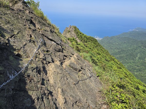 20260426 新北金瓜石半屏山無耳茶壺山3050532