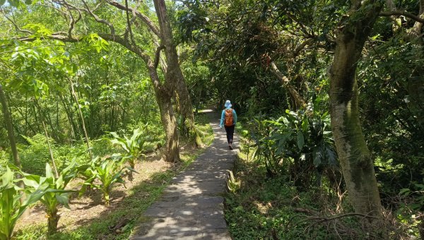 (姨婆趴趴走)第五十三集:台北內湖三山（白鷺鷥山、康樂山、明舉山）連走2774606