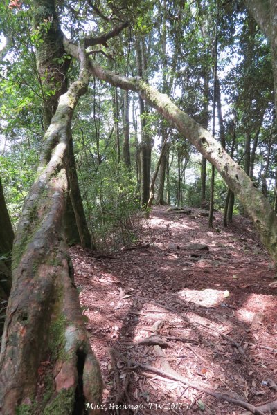 《台中》谷關七雄｜初登屋我尾山201703192890429