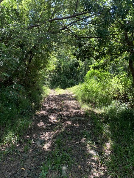 20251006屏東老佛山-老佛山西峰2907882