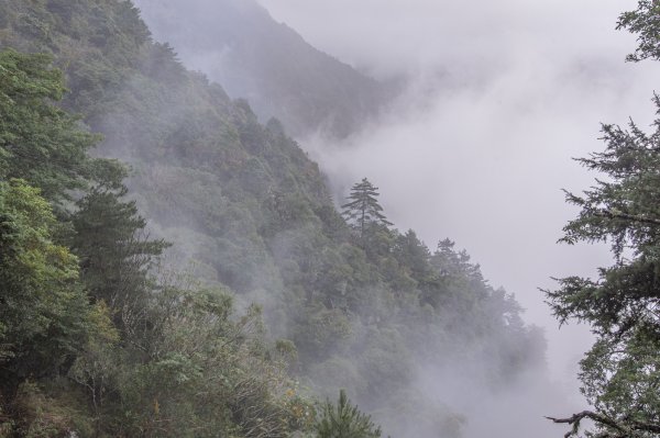 玉山前峰-翻越石瀑的第五座百岳之旅。2254869
