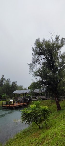 台東．森林公園202508013019162