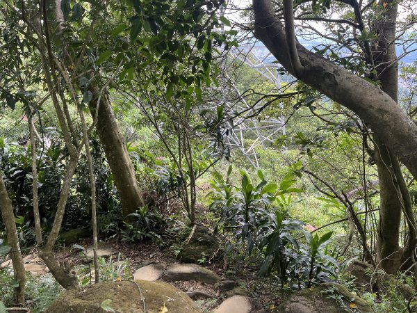 [微笑山線_第五段] 2025_0705 天上山系_南勢角山2830428