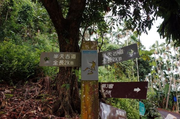 梅山 汗路古道 太平雲梯185484