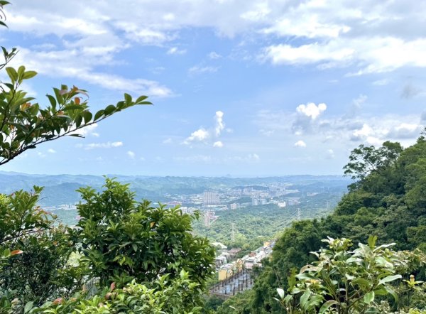 大尖山/小百岳#12 走四分尾山 O繞3116444