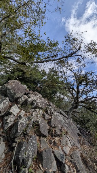 波津加山步道3012305
