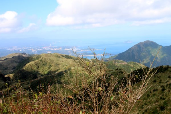 【金瓜石】漫山芒花怒放浪漫，礦山藍海奇景夢幻！2964028