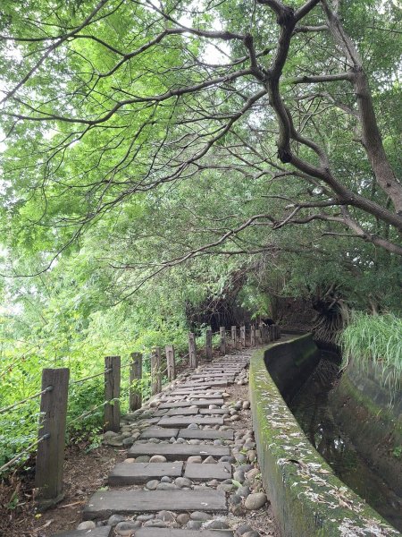 《台中》水圳視野｜烏日知高圳及雪蓮登山步道上學田山202606133074163