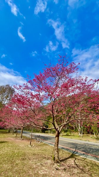 越野單車勇闖北港溪峽谷2998366