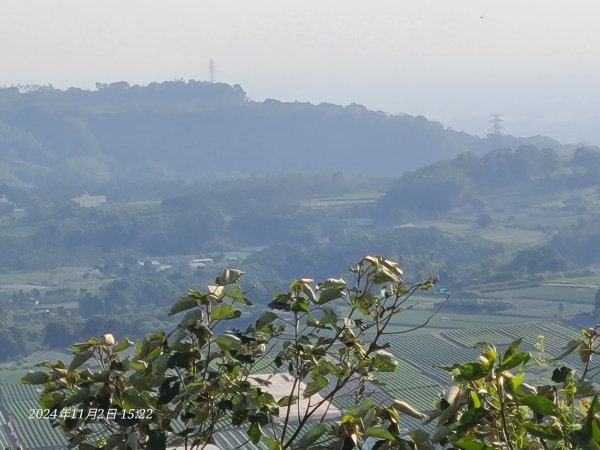 橫山小百岳2659358