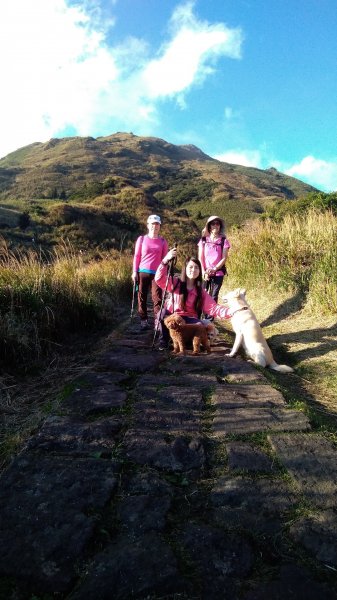 1081215陽明山主，東峰O型走走散步776238