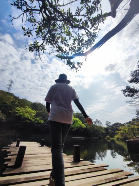 新山夢湖-友蚋山-友蚋南峰-五指山古道2755387