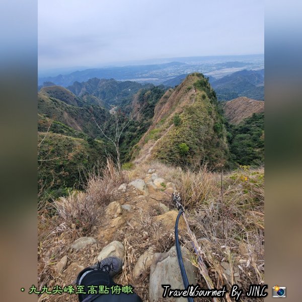 中部抹茶山九九峰＜夏為抹茶冬為咖啡＞2042824