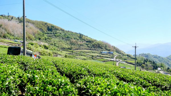 二延平步道。貿易戰2764950