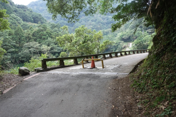 ＊步道小旅行＊三峽滿月圓森林步道1601