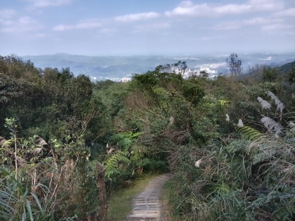 汐止區茄苳越嶺古道+上鹿窟崙山+九層坪山+四分尾山+大尖山8字走2981641
