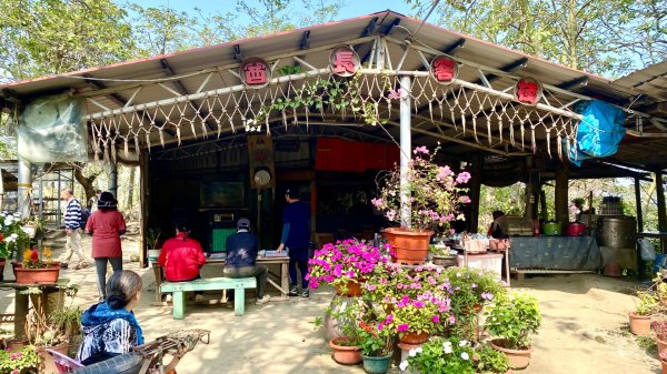 笠頂山(小百岳#76)2730829